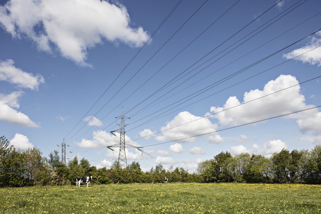 Denmark landscape